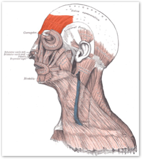 pastedgraphic-11_med